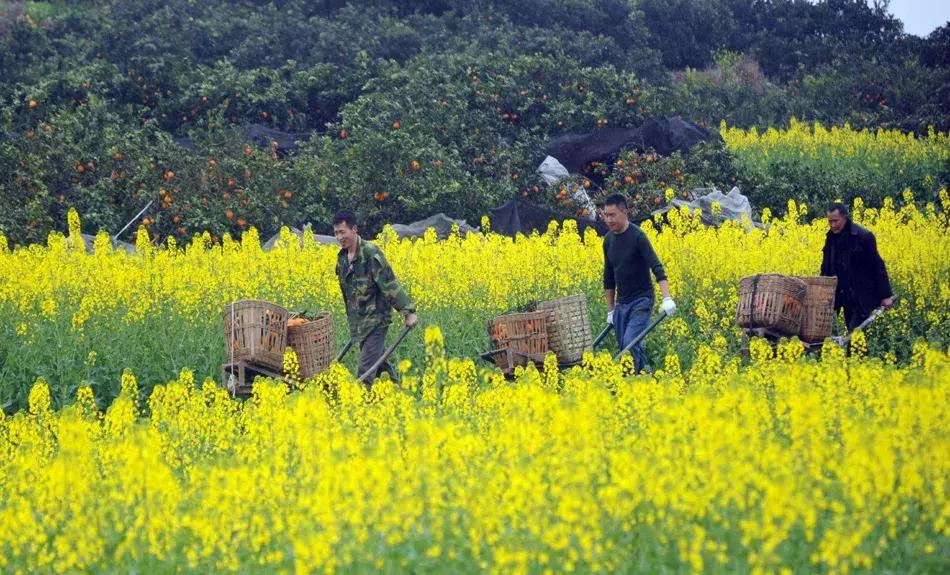 成都小众网红打卡地,成都最值得去的小众打卡地