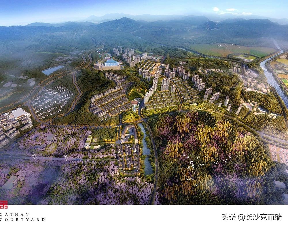 为什么长沙院子谁买谁上当,长沙院子最新进展