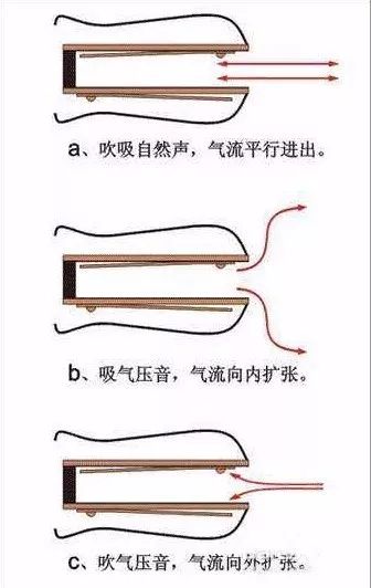 国光口琴24孔复音c调多少钱,24孔复音口琴的基本方法和技巧