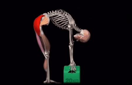 髋发力动作模式,髋骨疼痛的动作怎么练