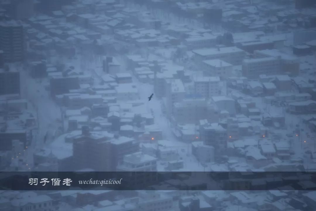 老实说,这一趟北海道就是为了拍好看的照片去的