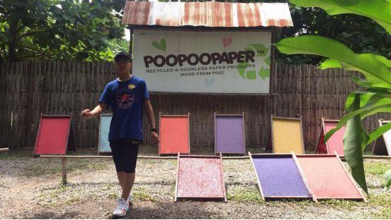 清迈大象义工,清迈大象救助营