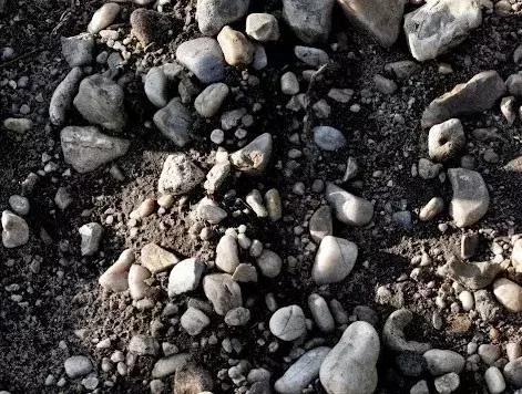 酒界传奇之1947年白马酒庄红葡萄酒