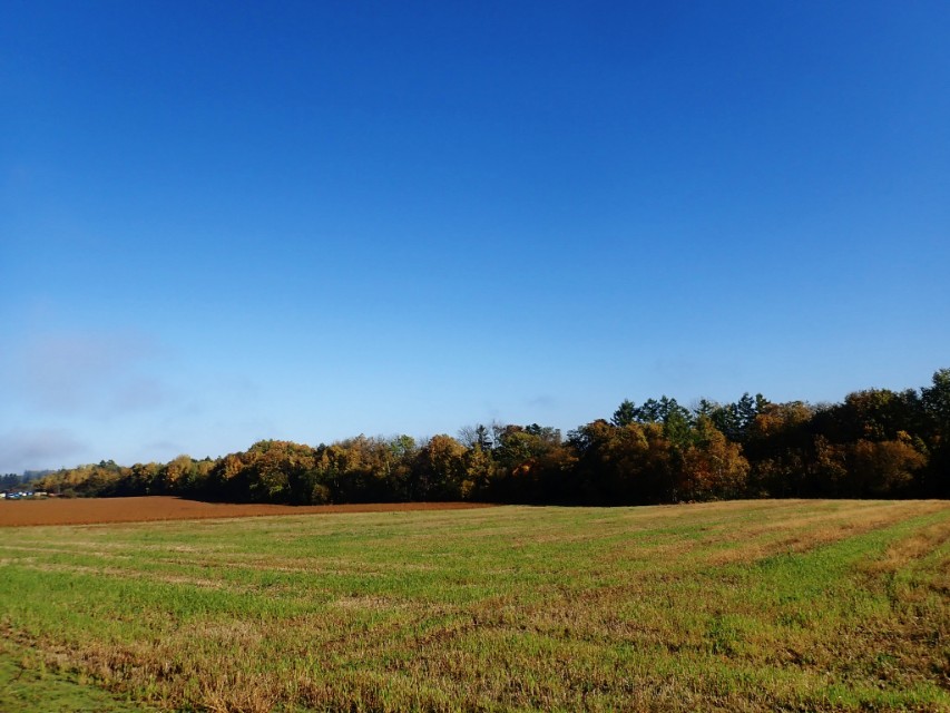 日本从南到北旅游路线,从南游到北