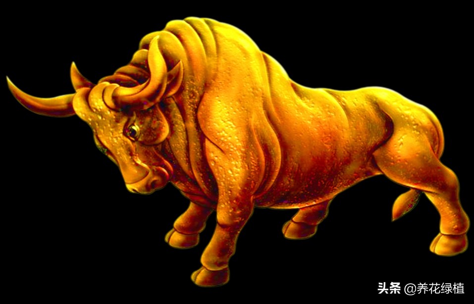 2021是辛丑年，俗语：“寡年不逢春，遇牛五谷登”，什么意思