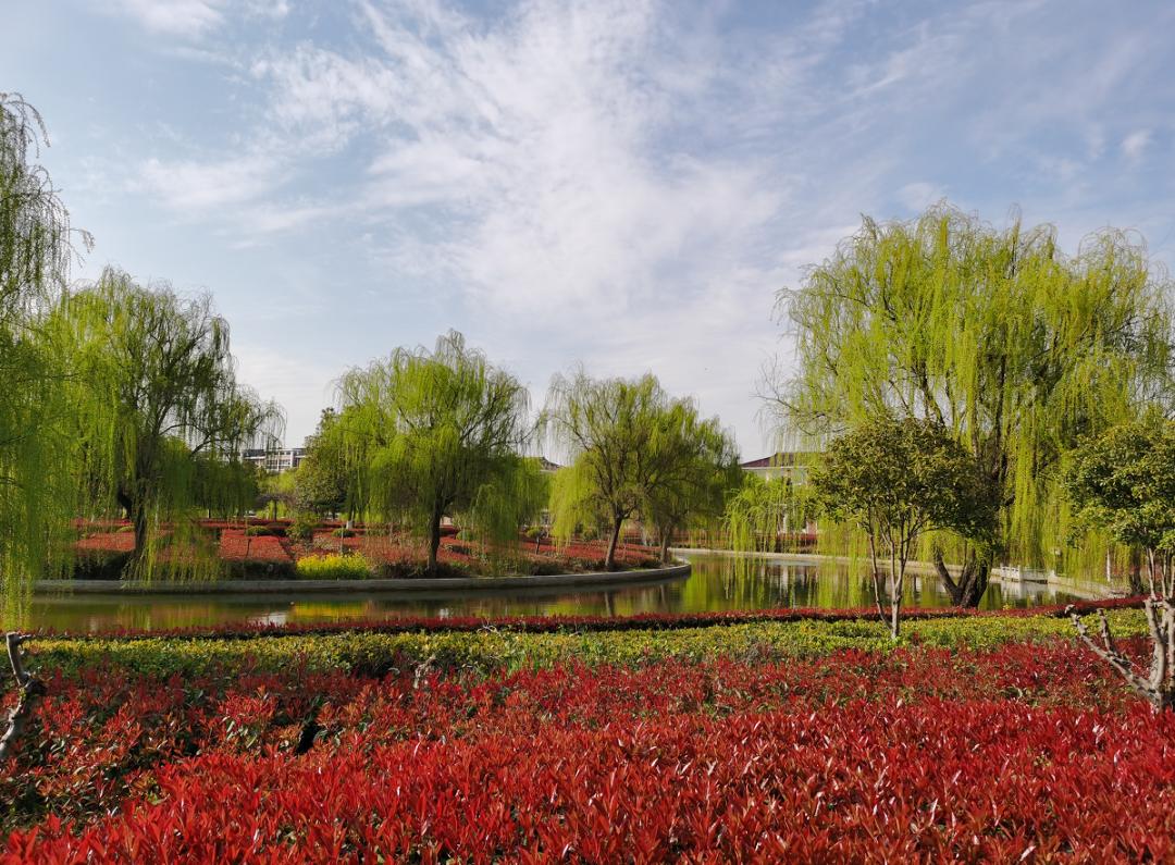 周庄村表彰大会,美丽中国江苏江阴周庄