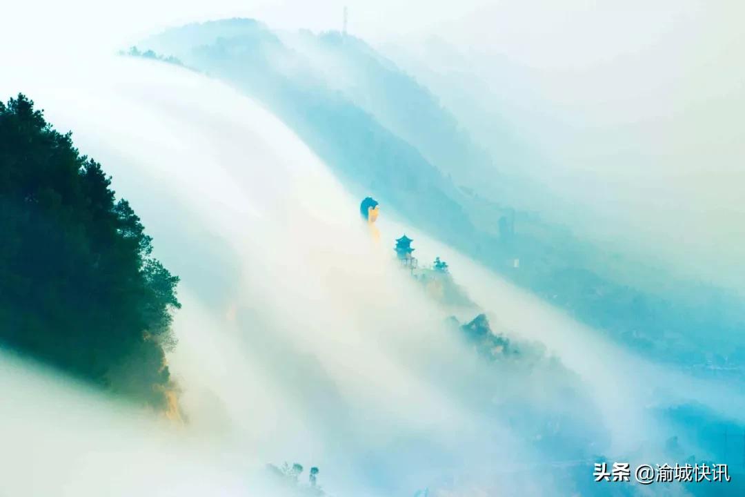 重庆无症状感染者最新情况,重庆无症状感染者在哪个区