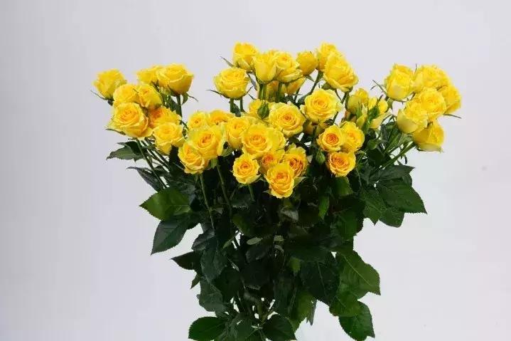 那些年你爱过的小说女配,那些年你爱过的老歌