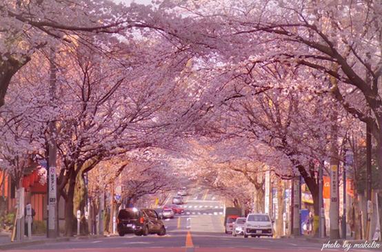 是心动啊，樱樱樱樱樱樱樱樱樱