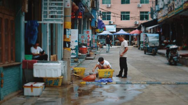 福鼎旅游数据,福鼎纪录片