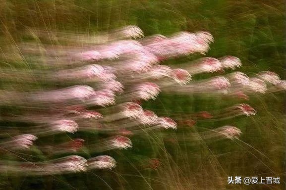 晋城有个啥山,晋城有什么山有名