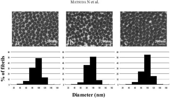 服用胶原蛋白到底有没有效？