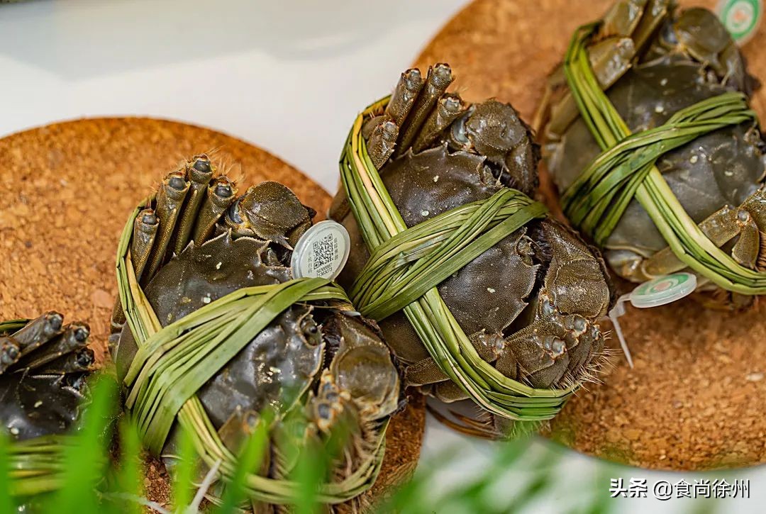 阳澄湖大闸蟹蟹黄蟹膏哪种好吃,去阳澄湖吃大闸蟹蟹黄