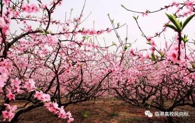 临港适合看书的地方,上海临港有没有读书的地方