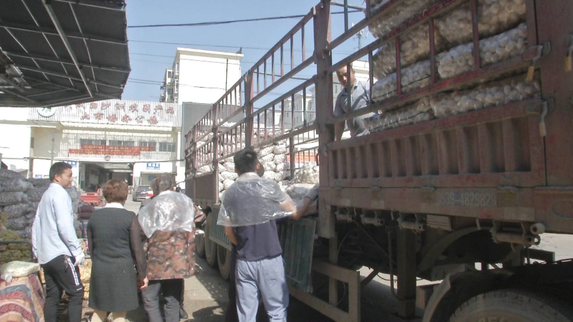 2020年大蒜价格预测多少元一斤,今年大蒜最高价格预计是多少