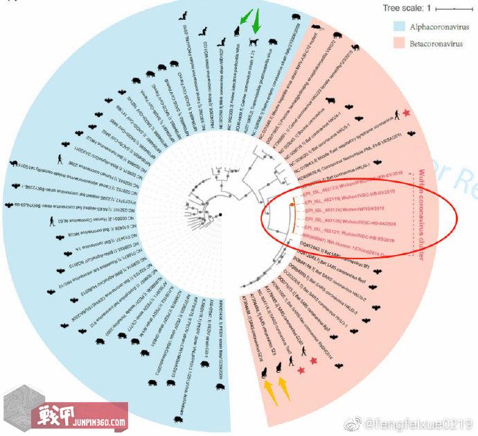 新型冠状病毒为什么要用医用口罩,新型冠状病毒选用口罩必须n95吗