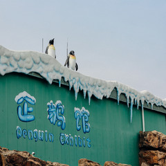 珠海长隆2天一夜吃住行攻略,珠海长隆两天一晚游攻略