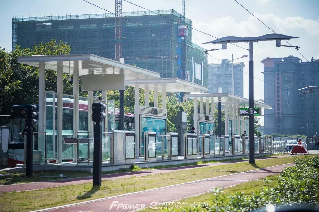 从蓉2来｜天天看见“叮叮猫”跑来跑去的，它到底在忙什么啊？