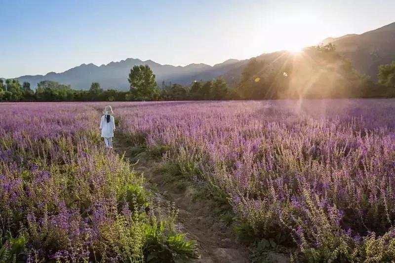 clubmedjoyview安吉度假村北京,clubmedjoyview延庆度假