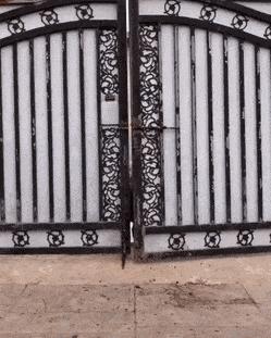 姑娘你的衣服一直走在时尚的最前沿，不过这时尚实在是让人看不懂