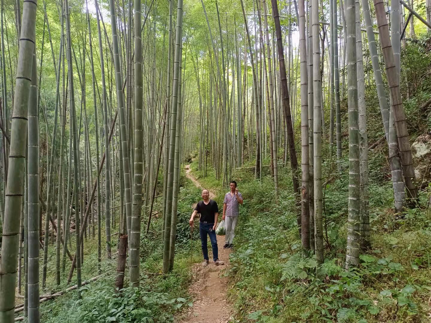 仙居公盂及周边游,仙居公盂徒步景点