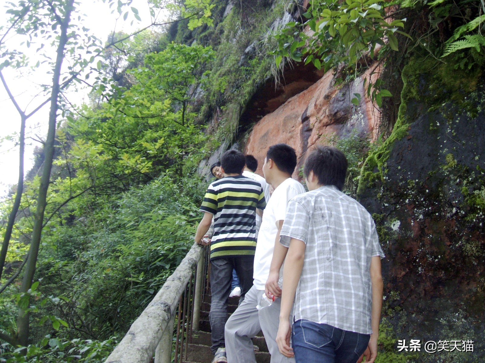 四川宜宾竹海风景,宜宾蜀南竹海全视频