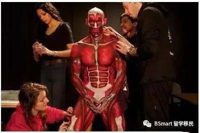 婢虫床楂樹腑鐢焤mit棰勭瑕佹眰,rmit婢冲ぇ鍒╀簹鐣欏