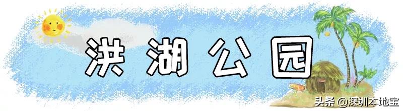 深圳最值得免费去的十大景点,深圳有哪些地方是免费景点