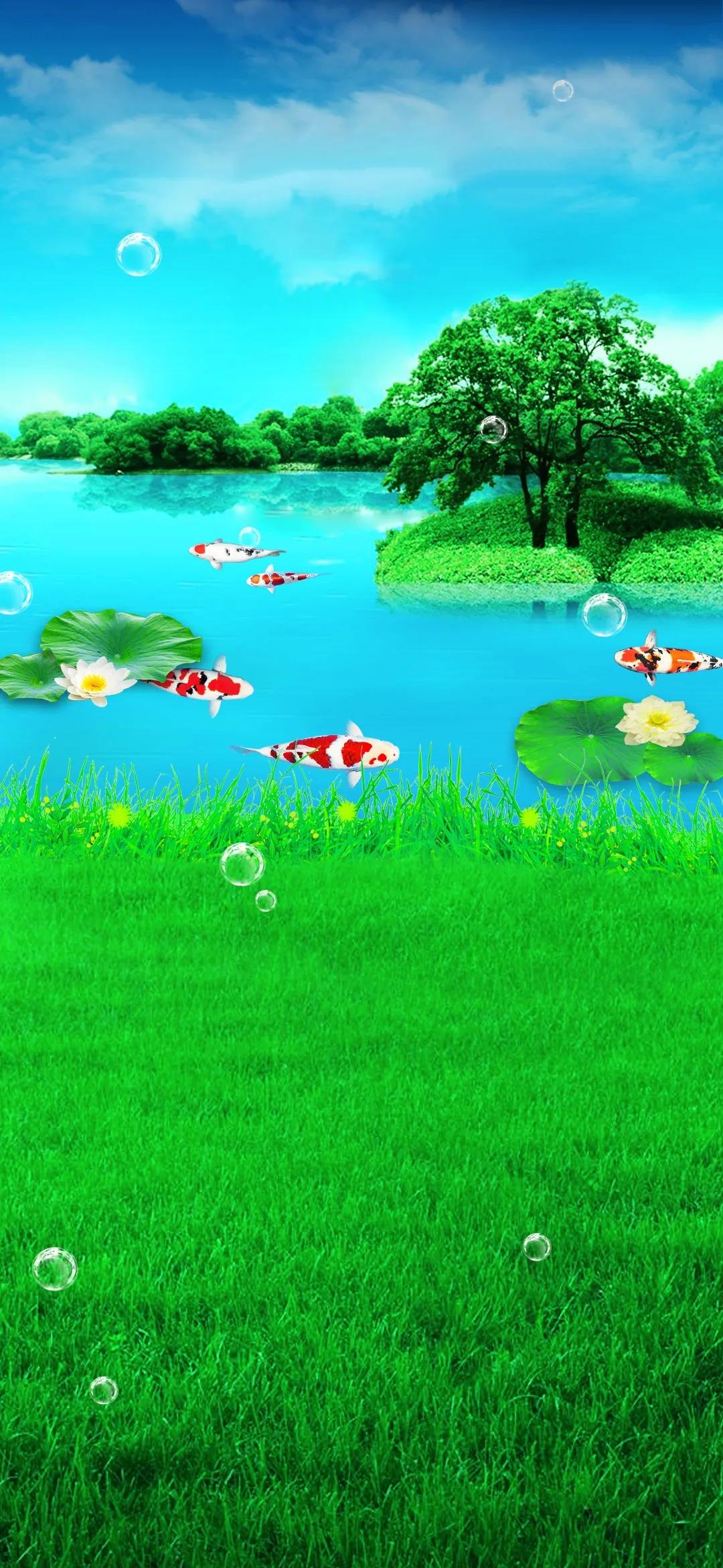 精美手机壁纸真是太美了,清晰到极致的手机壁纸图