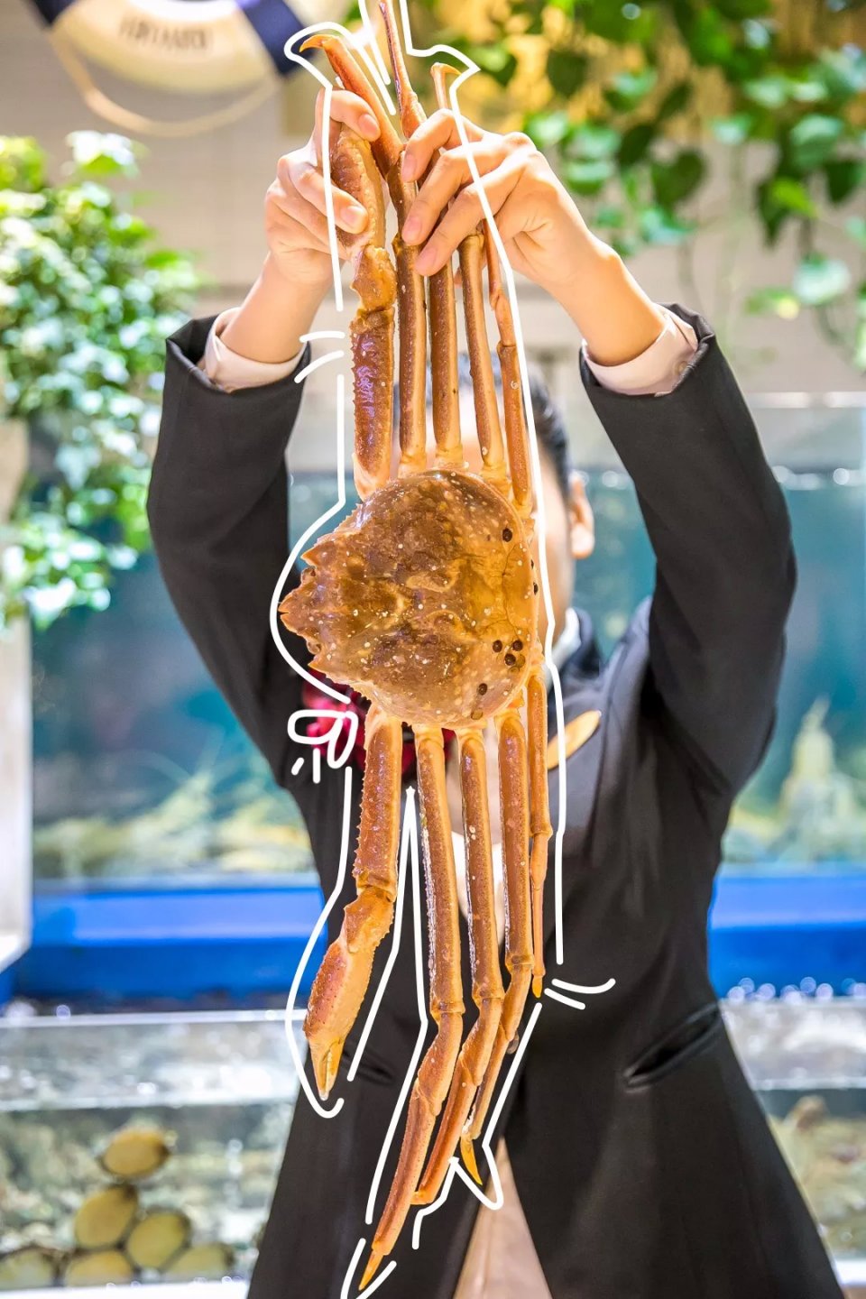 航母海鲜自助,陆家嘴自助帝王蟹