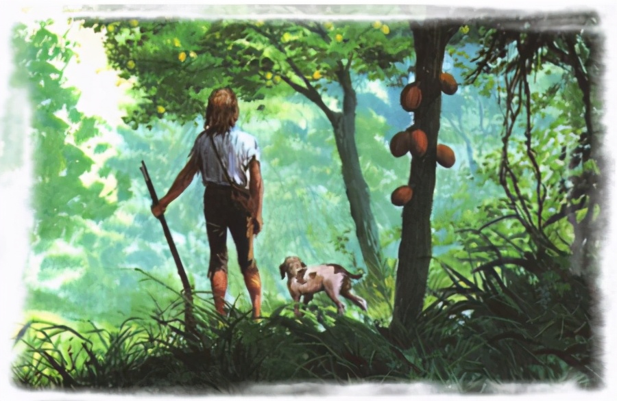 如果你在一个小岛上你会怎么逃脱,如果你漂流到一个荒岛怎么生存呢