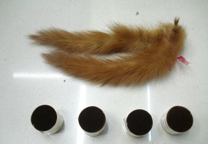 捕杀黄鼠狼被判几年,抓捕15只黄鼠狼是否犯罪