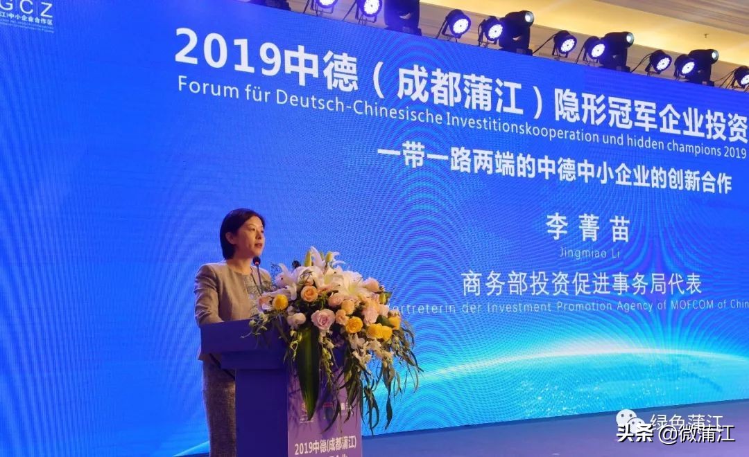 中德隐形冠军产业园,成都蒲江中德中小企业合作