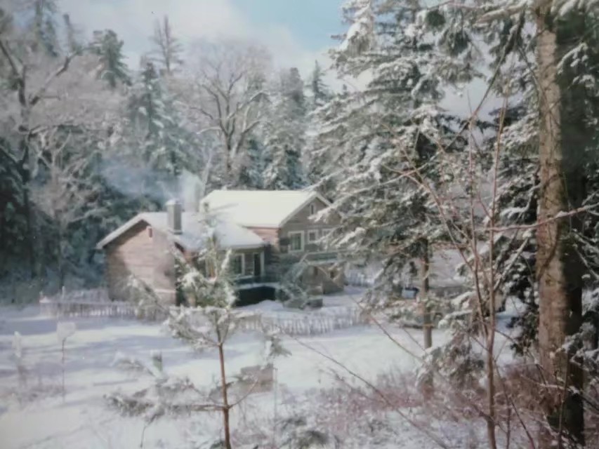 90年代伊春往事,伊春林区往事