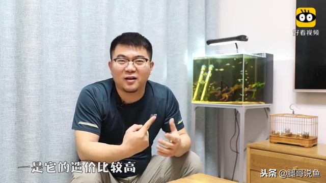 大缸什么过滤效果最好,什么过滤方式小缸效果最佳