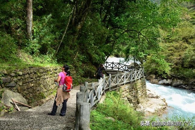 二郎山喇叭河看鹿,二郎山喇叭河看日出攻略