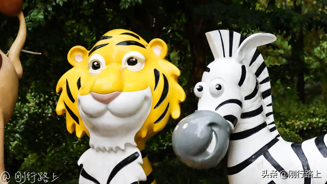 上海野生动物园可以自驾进去吗,从上海野生动物园怎样去上海南站