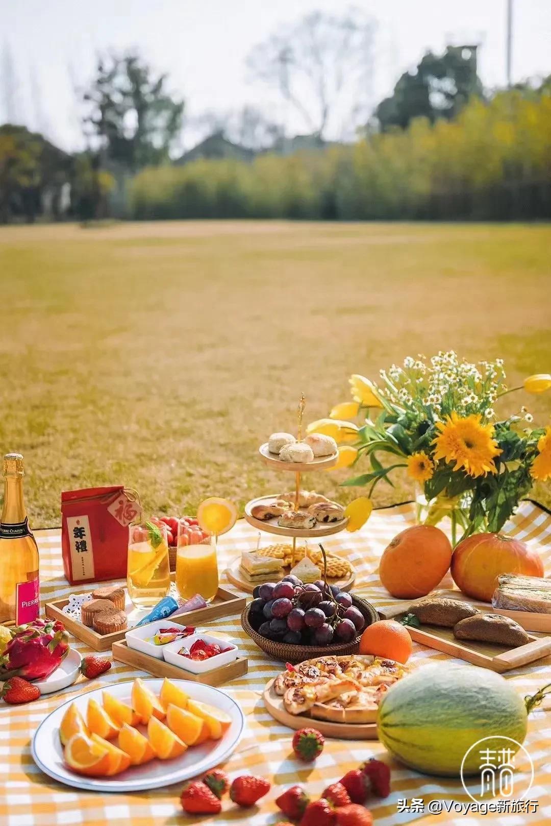 旅行民宿春天赏花,花海度假胜地