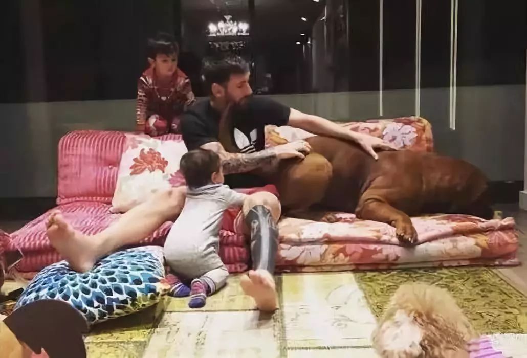 梅西豪宅c罗豪宅,梅西和c罗谁豪宅最好