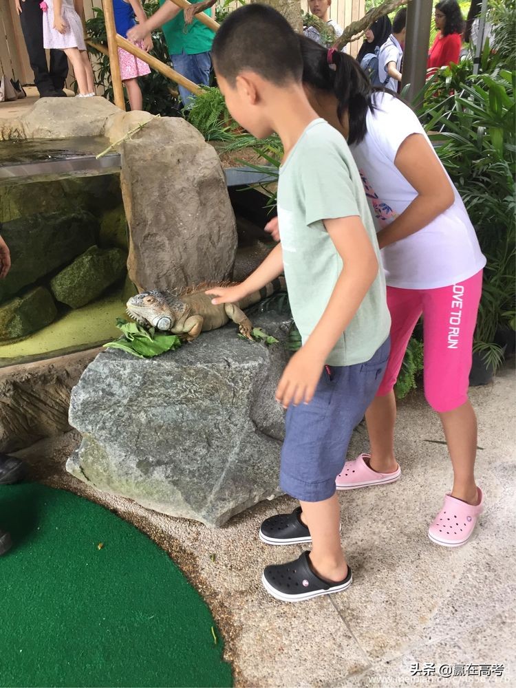 漂洋过海来看你土耳其版,漂洋过海来看你越南