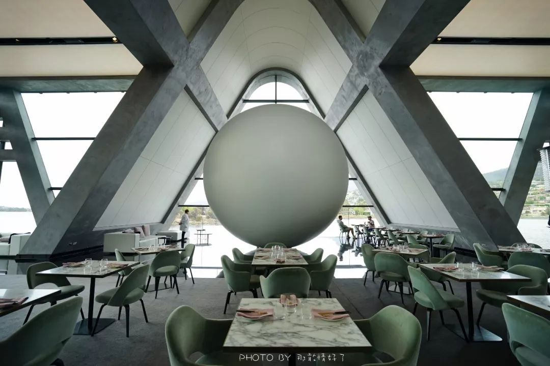 去哪里旅游可以看南极企鹅,旅游攻略南极看企鹅