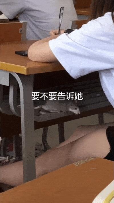 韩国代购回来不隔离吗,去韩国代购回来被海关罚款了