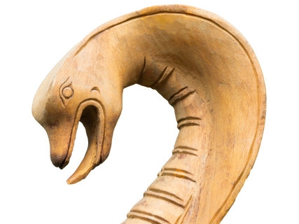 多次梦到蛇,总是梦到蛇现实也见蛇