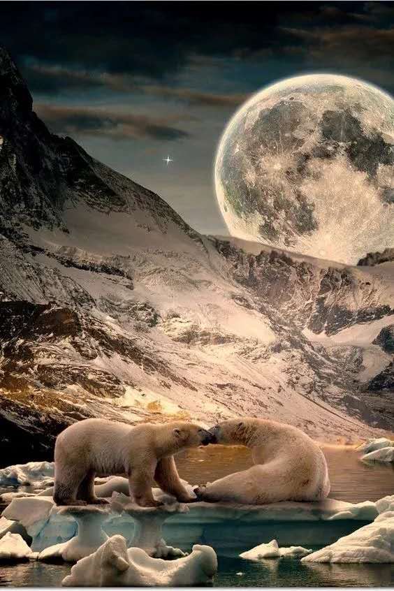 太壮观了动态图片,太壮观了的图片