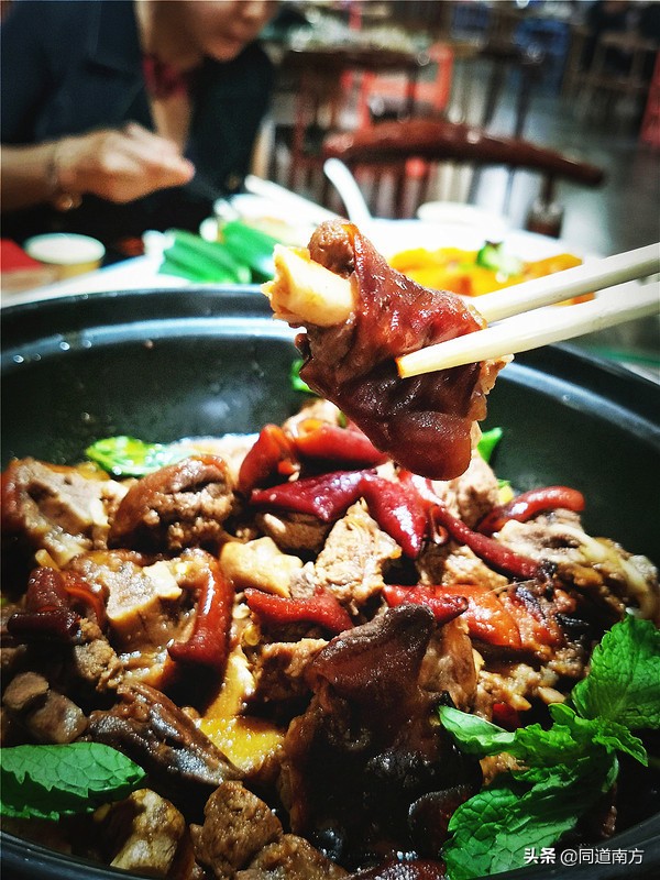 耀眼世界杯,欧洲杯直播比利时荷兰