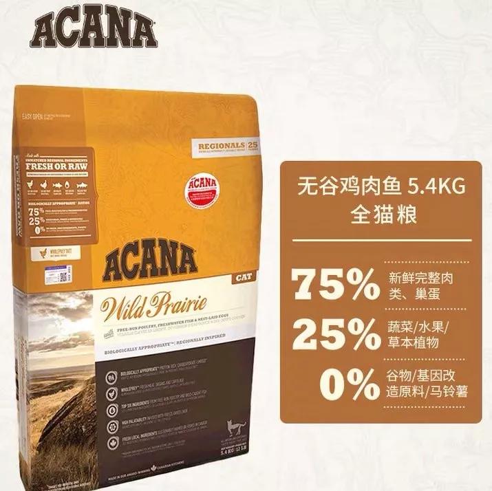 怎样写一份完美的养猫手册,新手养猫手册怎么写