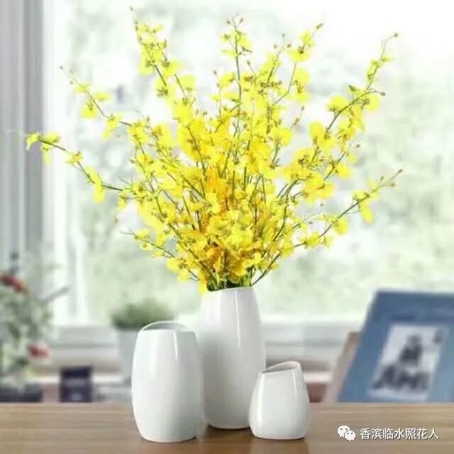 创新作文大赛第十四届获奖名单,2016创意作文大赛