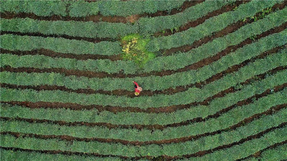 雅安旅行攻略亲子游,雅安市旅行攻略自由行路线