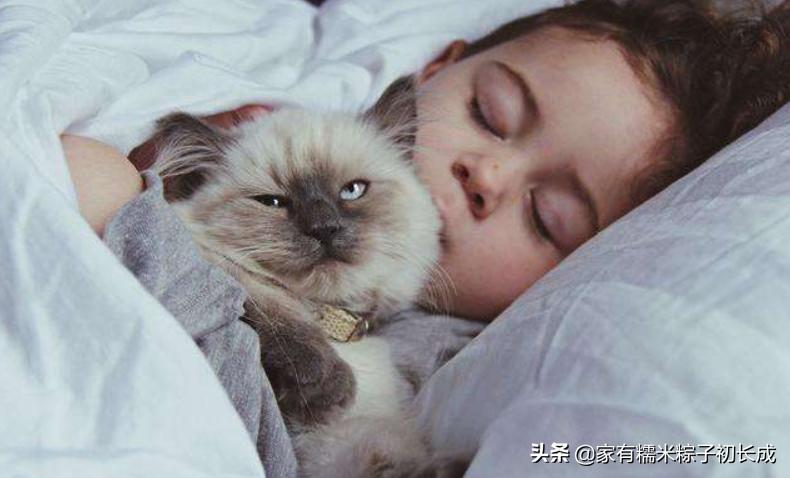 猫咪亲近人但是就是不让抱,猫咪亲近男主人不亲我