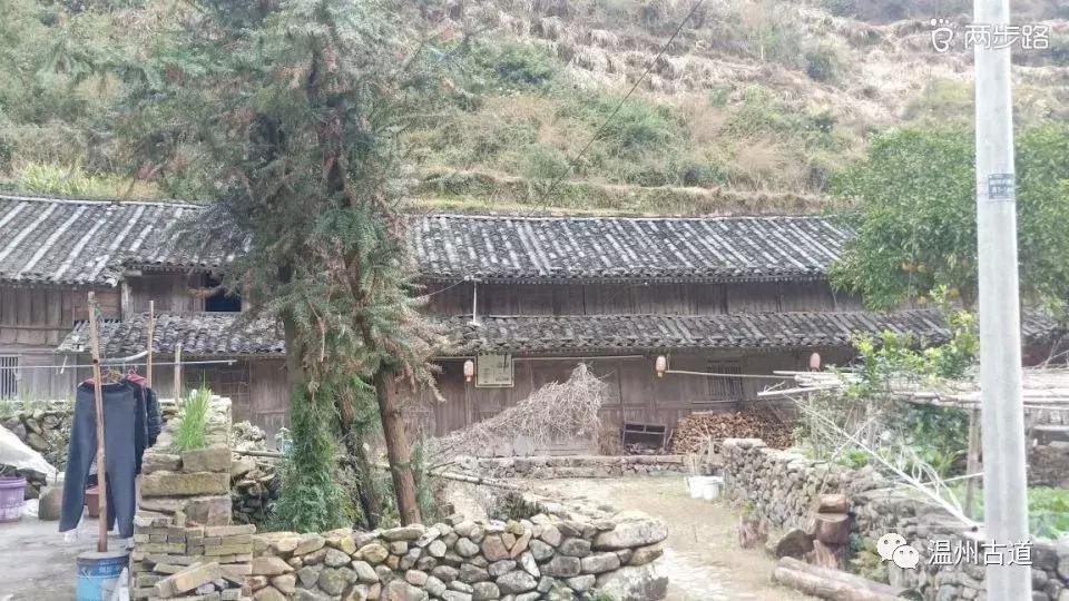 温州茶山红枫古道,浙江温州永嘉红枫古道